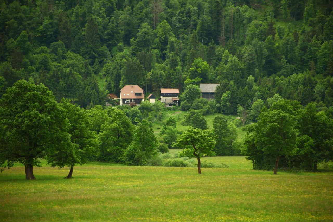 Apartment Sefic Planina  Buitenkant foto