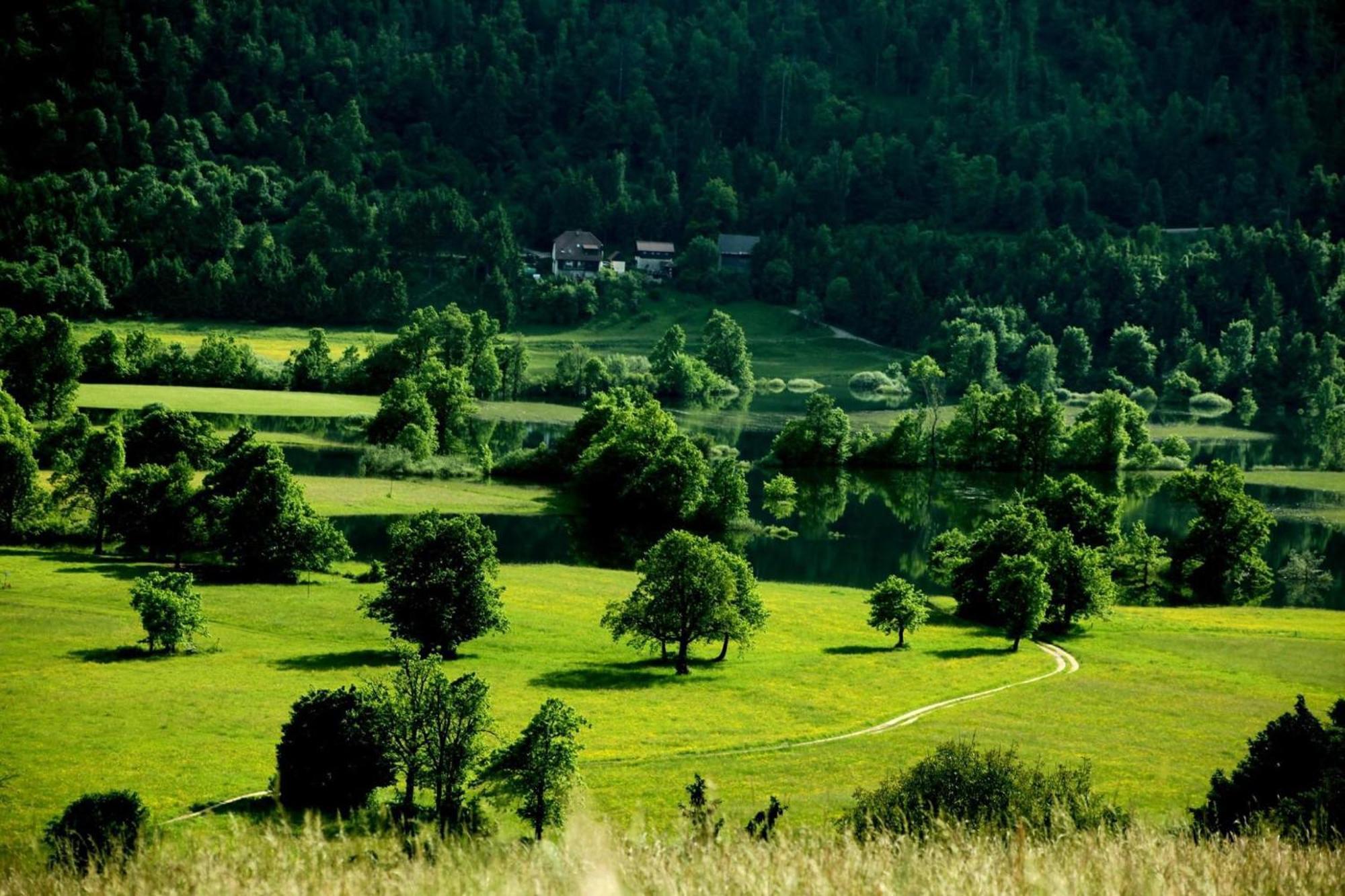 Apartment Sefic Planina  Buitenkant foto