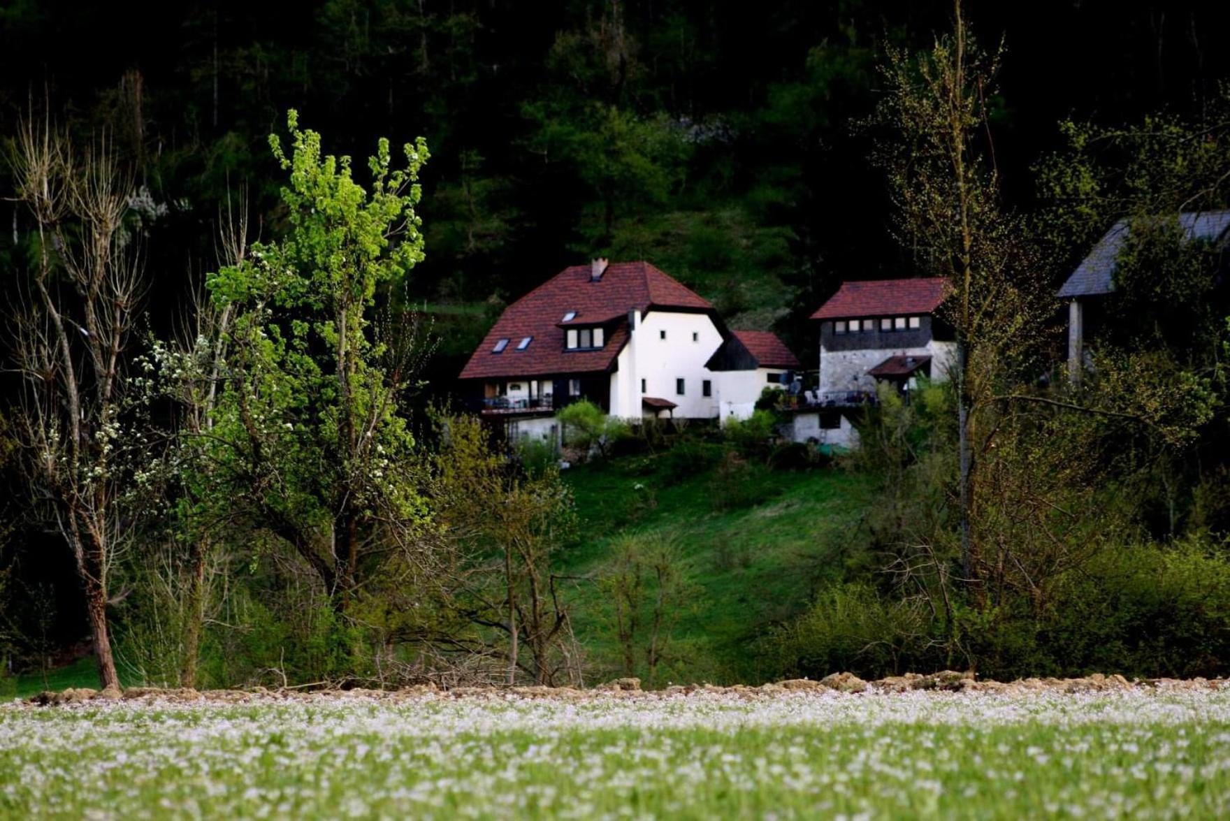 Apartment Sefic Planina  Buitenkant foto