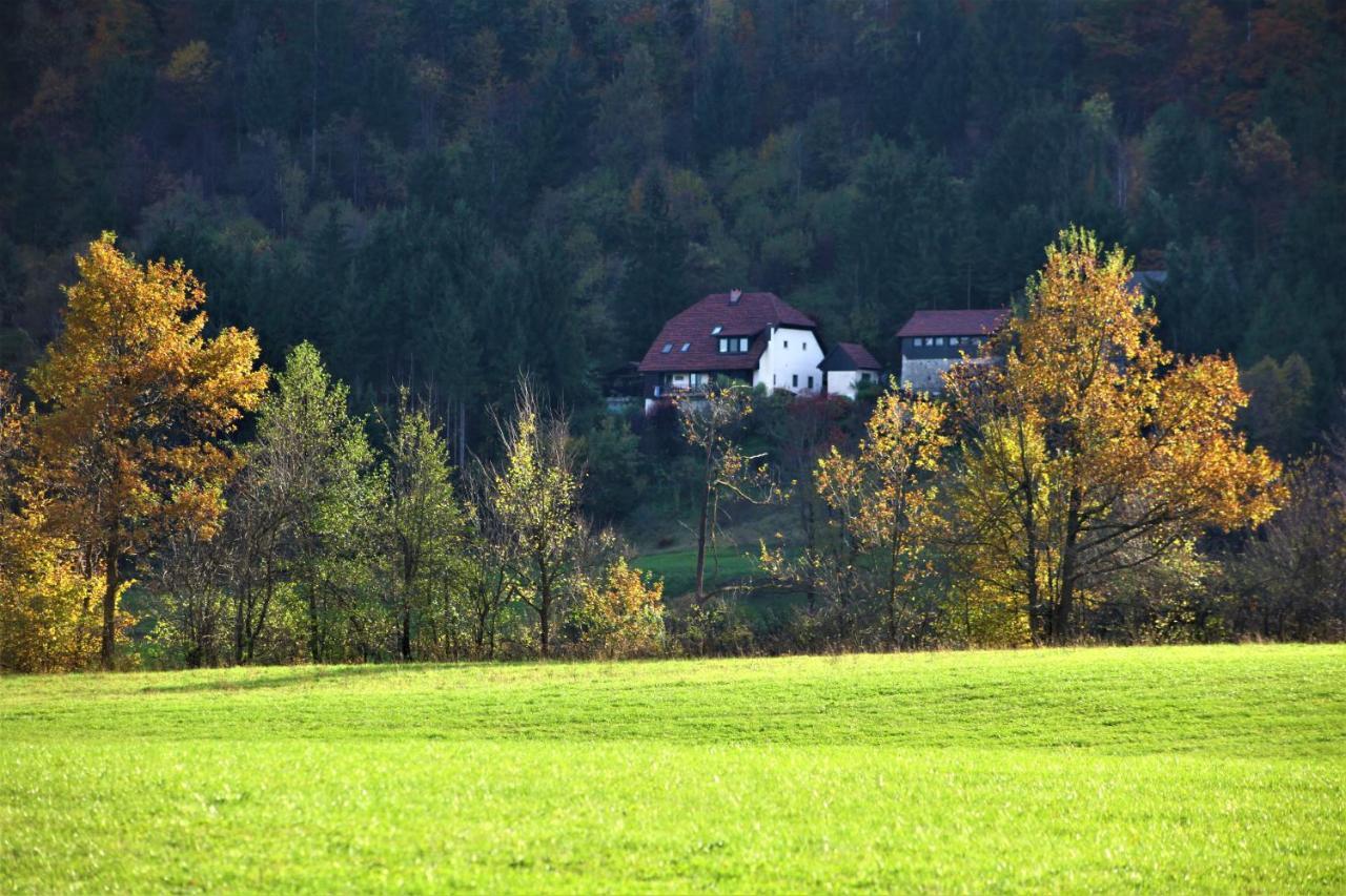 Apartment Sefic Planina  Buitenkant foto