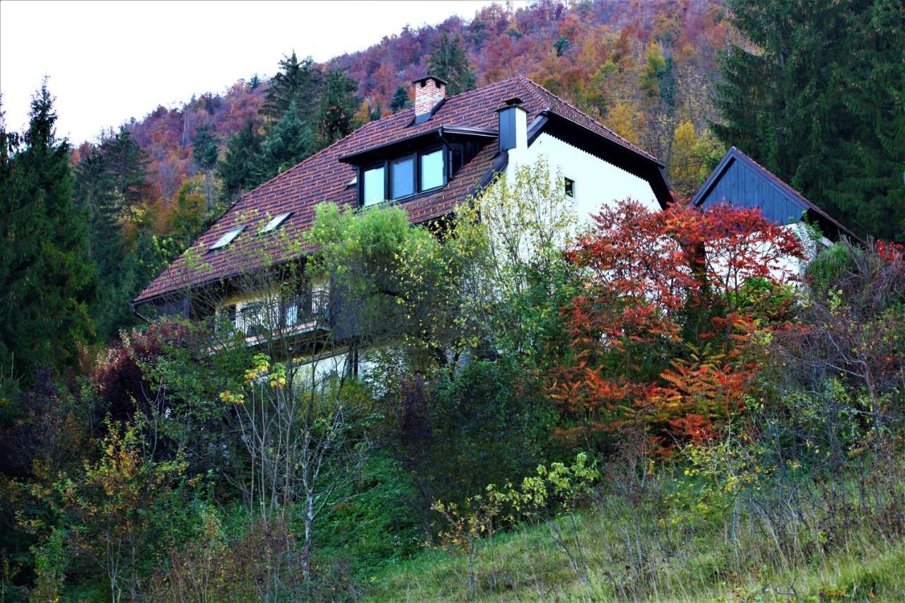 Apartment Sefic Planina  Buitenkant foto